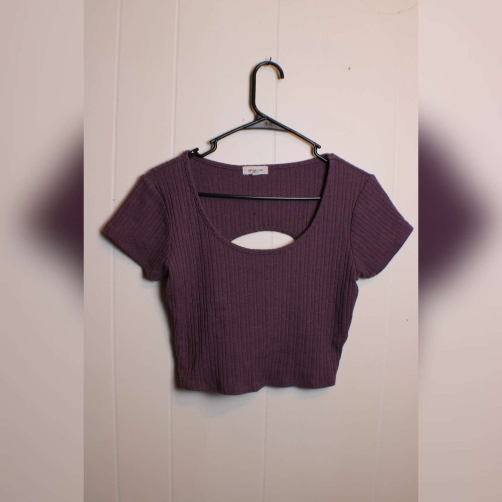 Stitch & Pine Mauve Crop Top With Keyhole Back